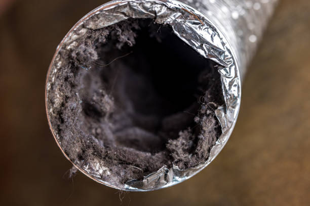 Best HVAC Air Duct Cleaning  in Lauderdale By The Sea, FL
